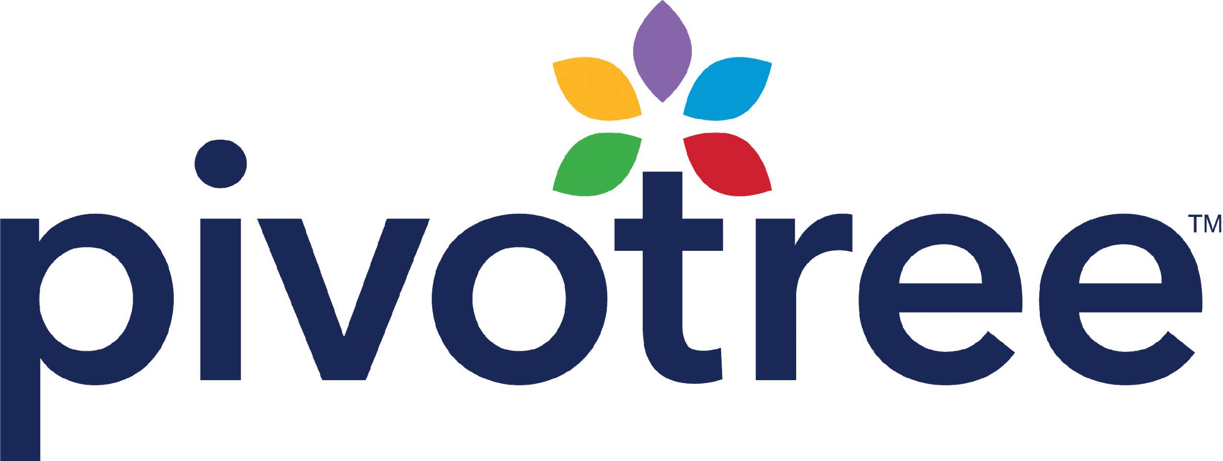 Pivotree Announces Fourth Quarter 2024 Results