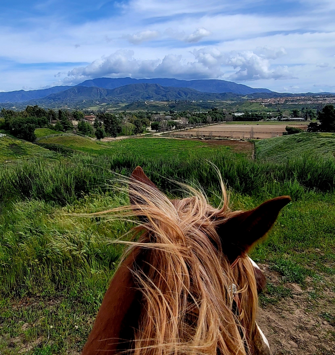 Temecula Valley Turns Up the Heat with Summer Sounds, Flavorful Finds, and Open-Air Adventures