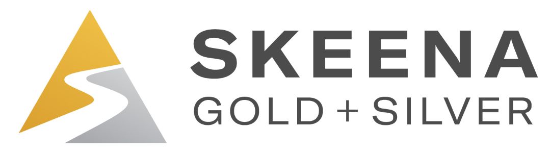 Skeena Gold & Silver Reports Q1 2025 Financial Results