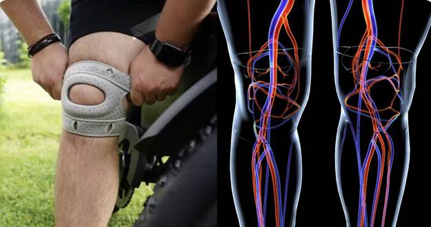 Wellnee Knee Brace Reviews: Does It Really Work?