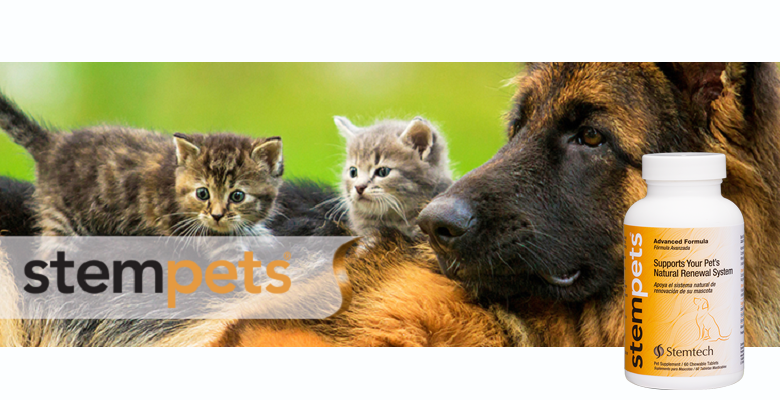 Full Alliance Group's Pure Solutions Announces Manufacturing Agreement With Stemtech Corporation for New StemPets(TM) Product Line