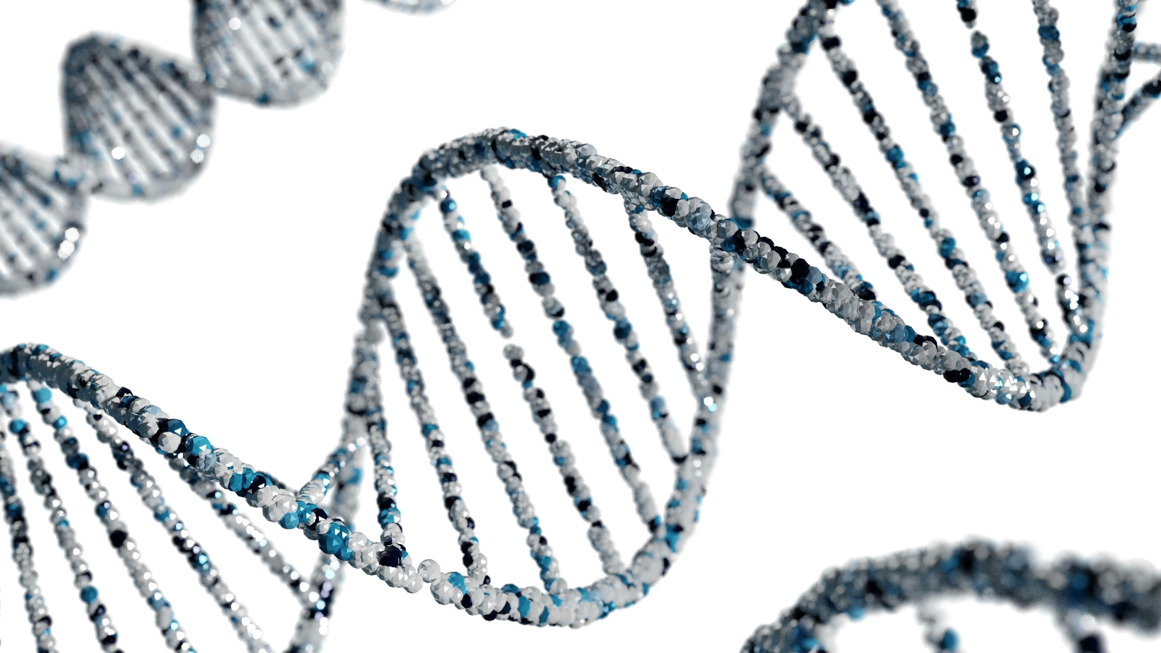 From Garden to Lab Bench: Donna Matuizek Featured in Exclusive Online Interview