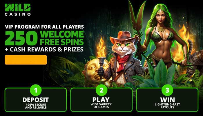Best Online Casino Real Money Games 2025: Wild Casino Ranked No1 for Slot Games that Pay Real Money