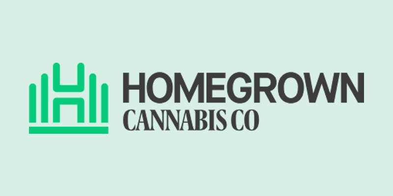 Feminized Cannabis Seeds: Homegrown Cannabis Co. Sets the Gold Standard for the Best Feminized Seeds      