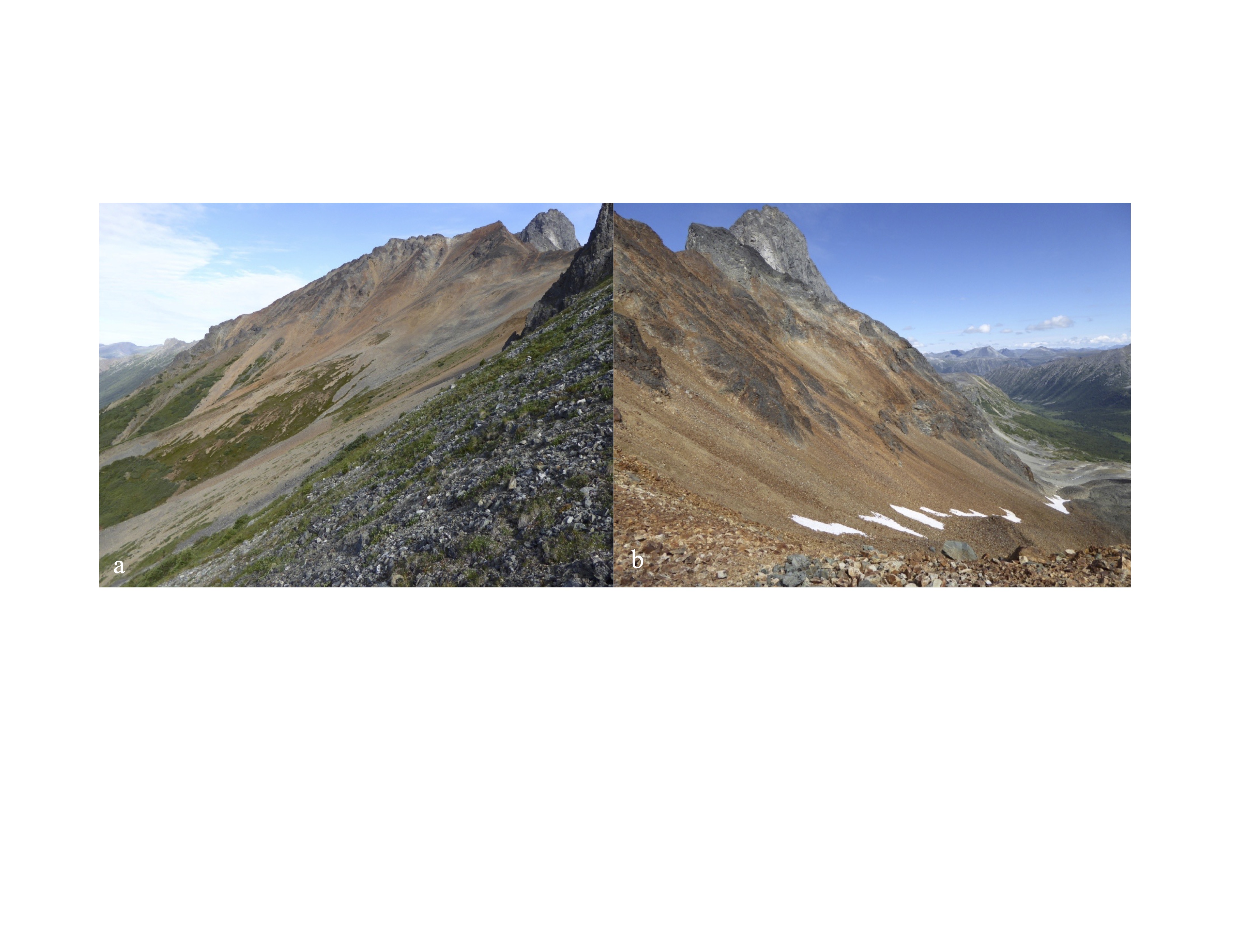 Prospect Ridge Options Castle Copper-Gold Porphyry Project In Toodoggone Mining District Of British Columbia