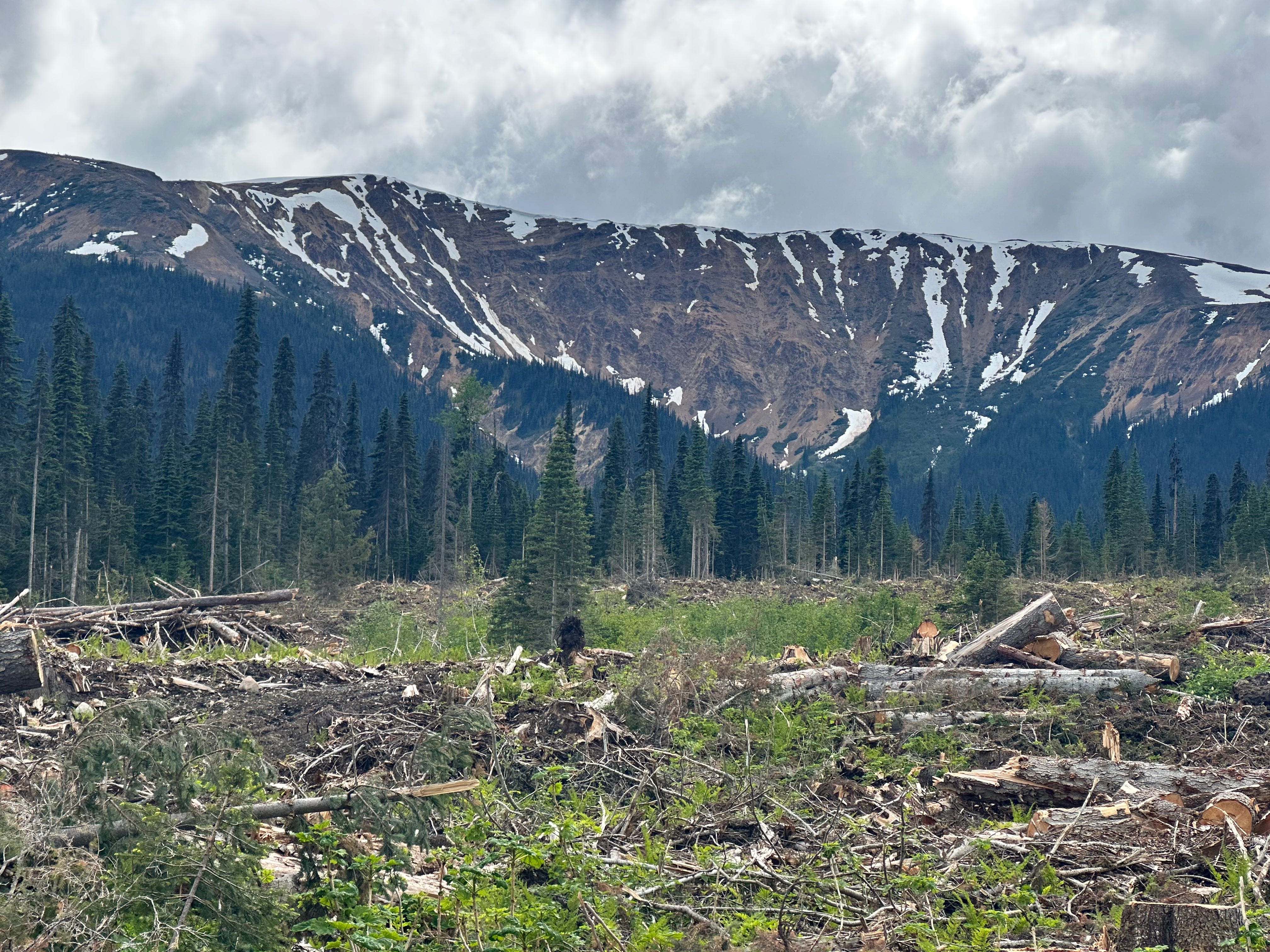 Prospect Ridge Announces Start of Knauss Creek and Holy Grail Exploration Programs and Closes Acquisition of Option on Castle and Excalibur Copper Gold Porphyry Projects