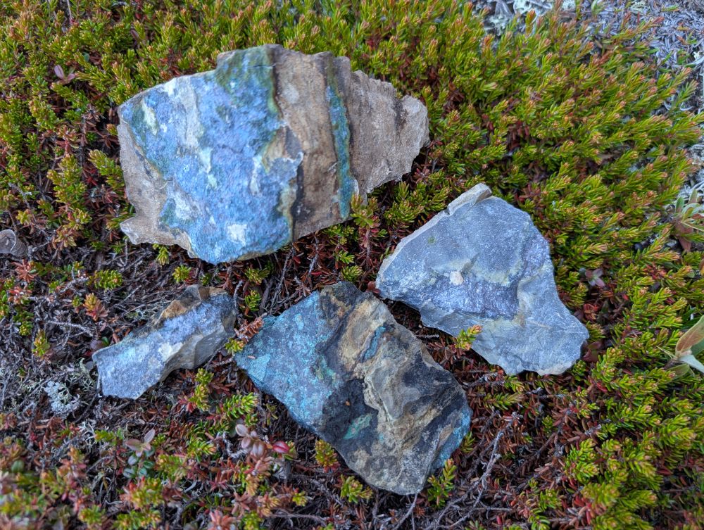 Aston Bay Commences Mapping and Prospecting Program at the Epworth Copper-Silver Project, Nunavut, Canada 