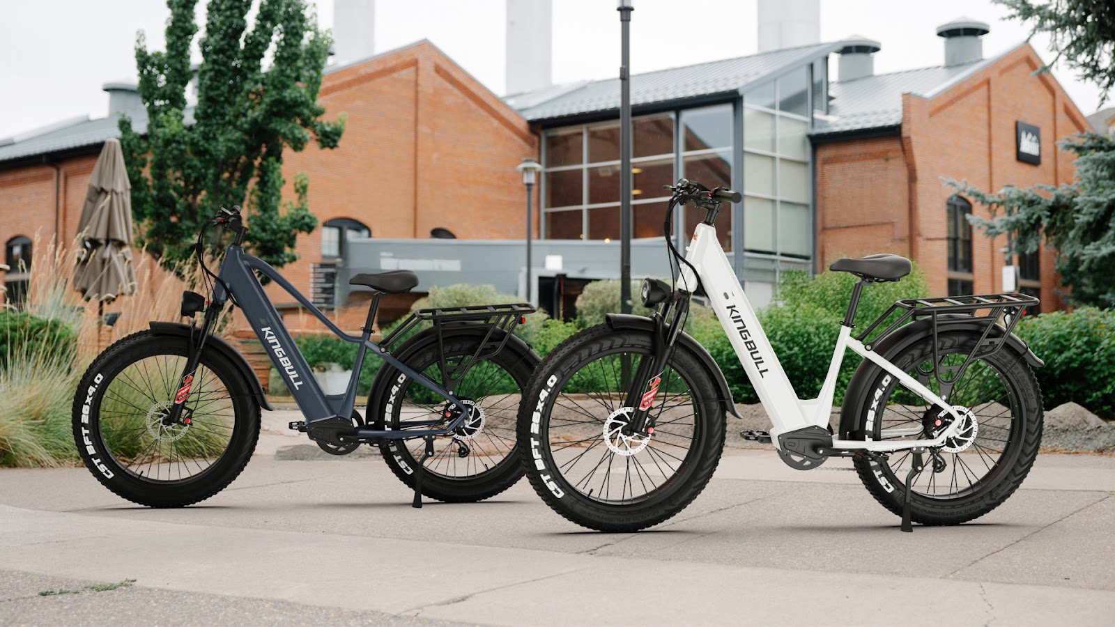 Kingbull Upgrades Discover Series with BAFANG Motor Samsung Battery and Torque Sensor