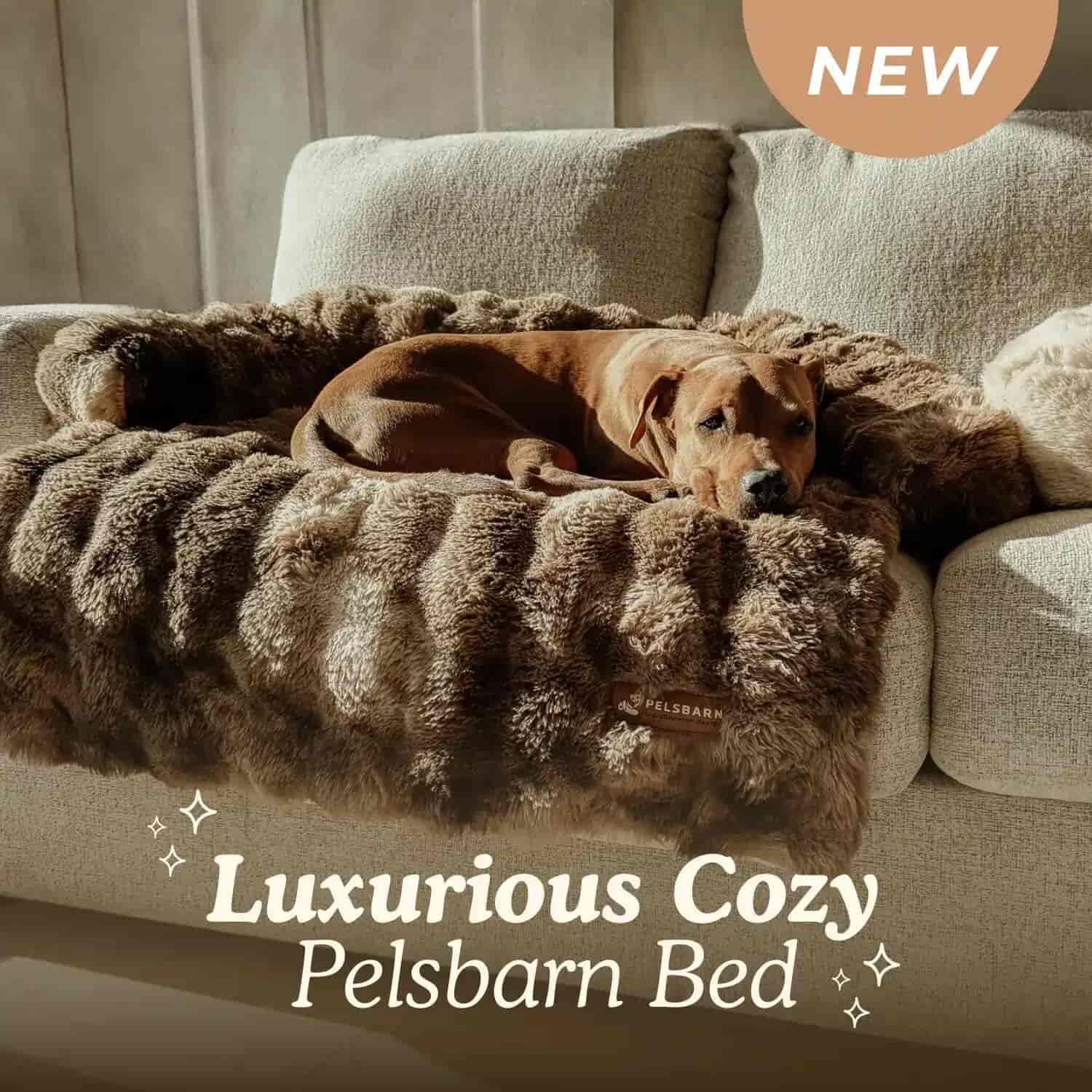 Woman-Owned Pelsbarn Launching New Luxurious Products for Dogs