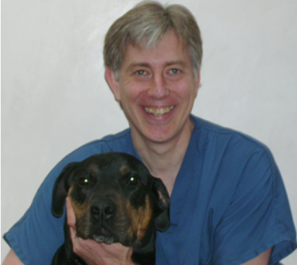 Dr. Eugene Aversa, DVM, Sheds Light on Why Harnesses Are the Safer, Smarter Choice for Dogs