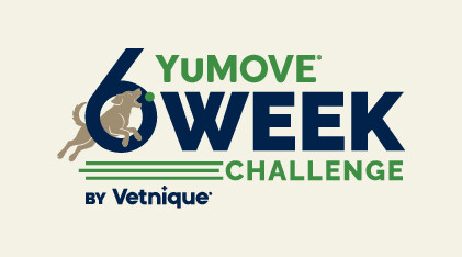 From Stiff Steps to Playful Fetch: The YuMOVE(R) 6-Week Challenge Helps Pets on the Path to More Movement