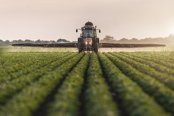 InSoil and Anew Climate Have Established a Strategic Collaboration to Market over 500,000 Lithuanian Verified Soil Carbon Removals