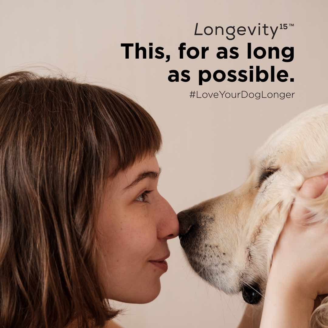Pet's Best Life, LLC. Aims to Help People 'Love Their Dogs Longer' with Science-Based Products like Yummy Combs(R) and Longevity15(R)
