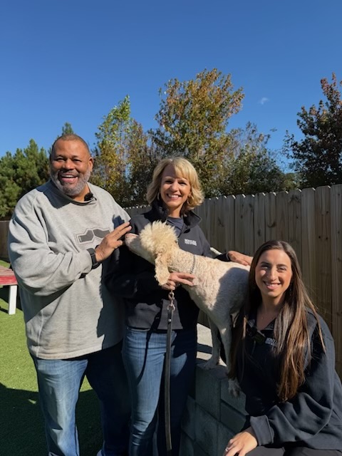 Montlick Partners with 11Alive for Veterans Day Telethon Benefiting Top Dogg K9 Foundation