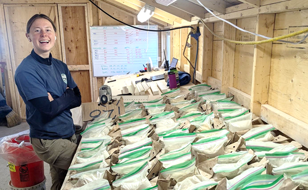 Aston Bay and American West Metals Announce New >4-Kilometre Copper Anomaly Identified at the Storm Project, Nunavut, Canada