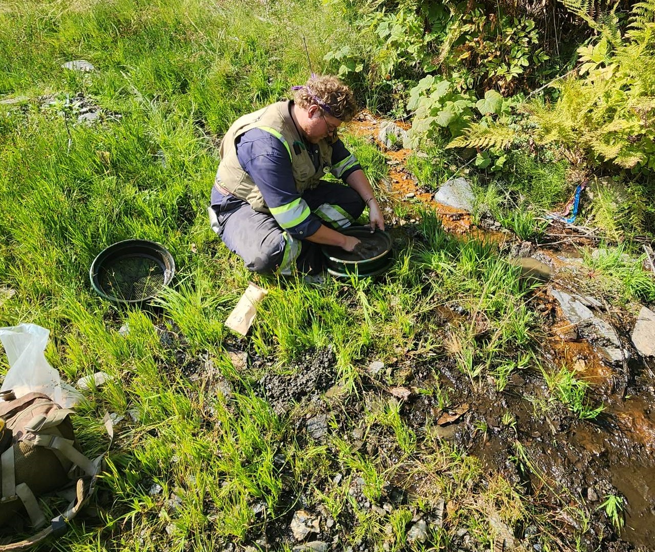 Taranis Samples up to 6.7 g/t Gold in Gossanous Seeps Underneath Ferguson Rockslide, 2 km Southeast of Southernmost NI 43-101 Mineralization at Thor