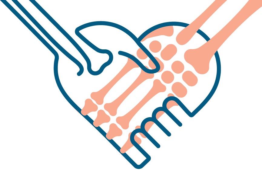 Anatomy Warehouse Expands Hands-On Partners Program with Faculty Edition for Educators
