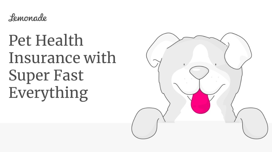 Lemonade Pet Insurance: What Pet Parents Should Know About Coverage, Costs, and Claims in 2026