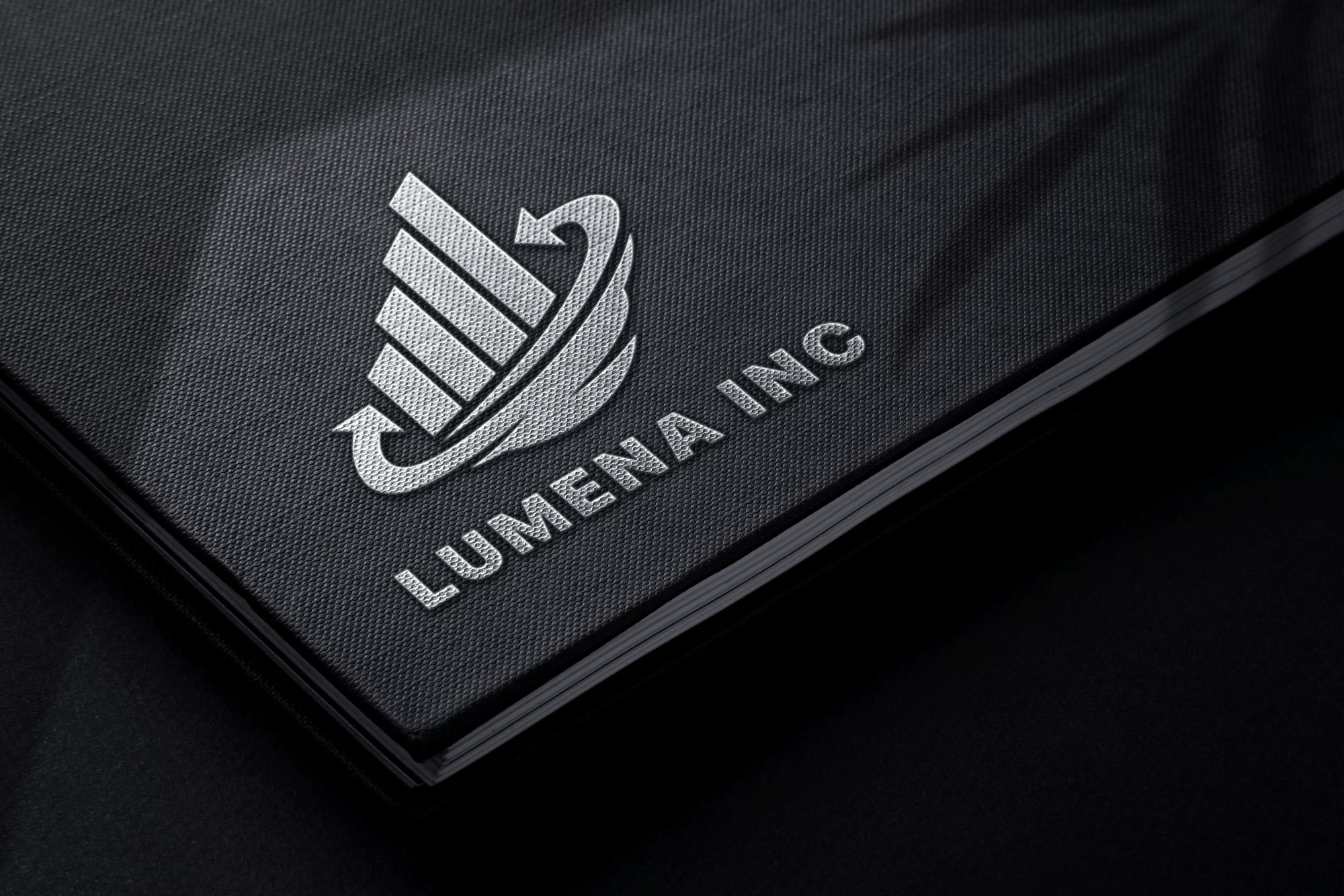 Lumena Intelligent Alliance Office Defines Its Financial Intelligence Framework Through Charles Winslow's Strategic Vision