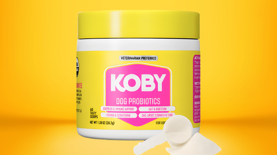 Koby Pet Probiotics: What Pet Parents Should Know About This Eight-Strain Gut Health Formula for Dogs and Cats