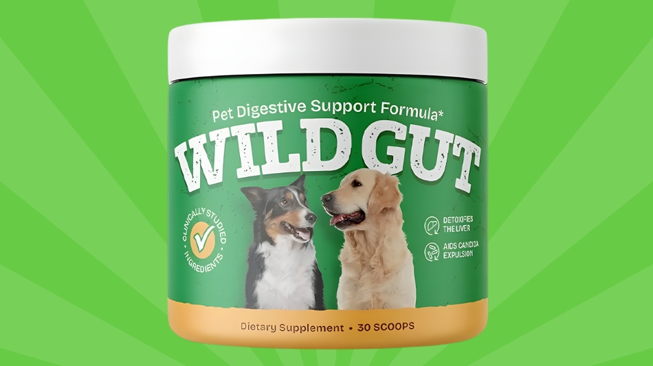 WildGut Dog Probiotic Supplement: Ingredient Analysis, Research Context and Pricing Guide for 2026