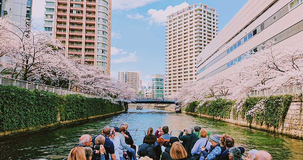 Plan Your Perfect Tokyo Spring: Reservations Open for Exclusive 2026 Meguro River Cherry Blossom Cruises