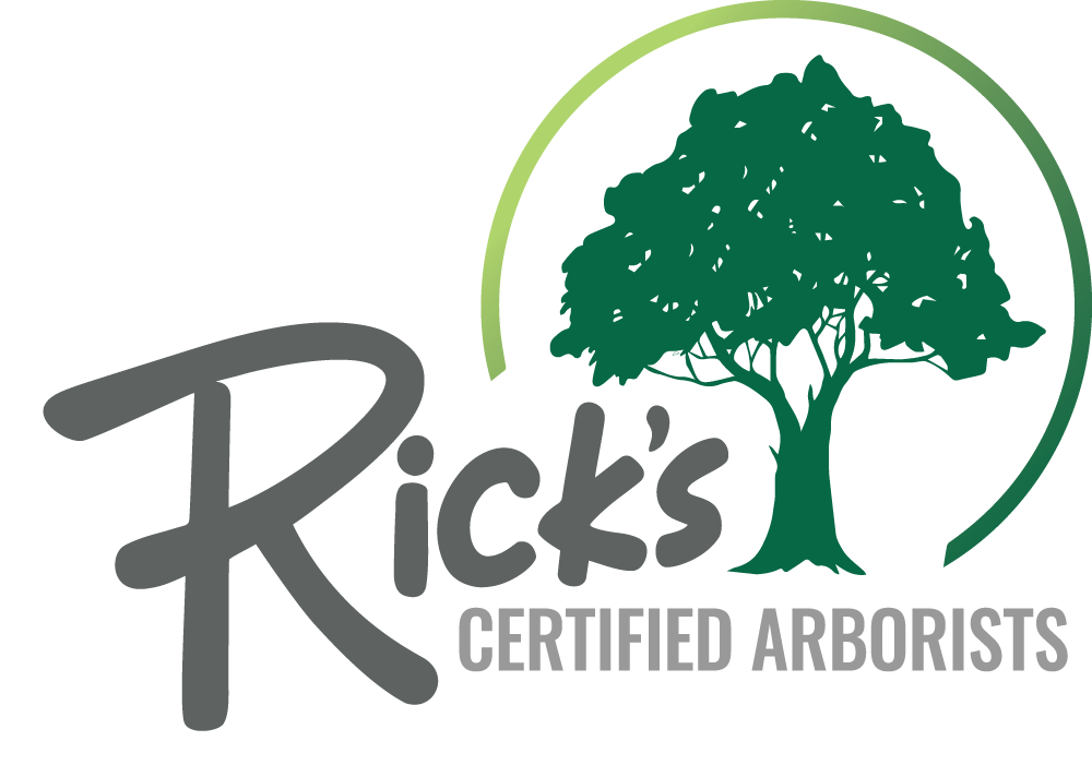 Rick's Certified Arborists Featured in February 2026 Issue of Tree Care Industry Magazine 