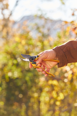 Setting the Standard for Vineyard Excellence: Quality Award Introduced at Sonoma County Pruning Championship