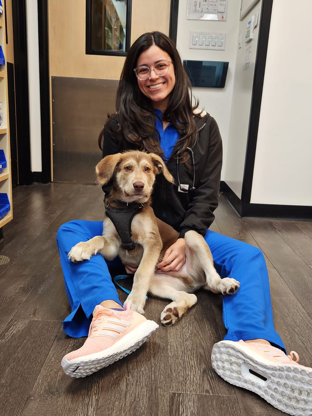 Tiffany Sastre Carreras Advocates for Preventive Veterinary Care and Conservation