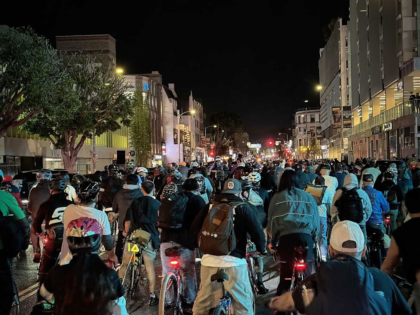 Los Angeles Critical Mass to Dedicate February Ride to Regan Cole‑Graham and Her Newborn Child, Ophelia