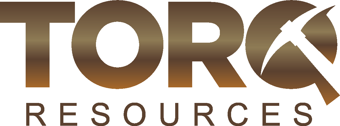 Torq Resources Announces Voting Results of Annual General Meeting