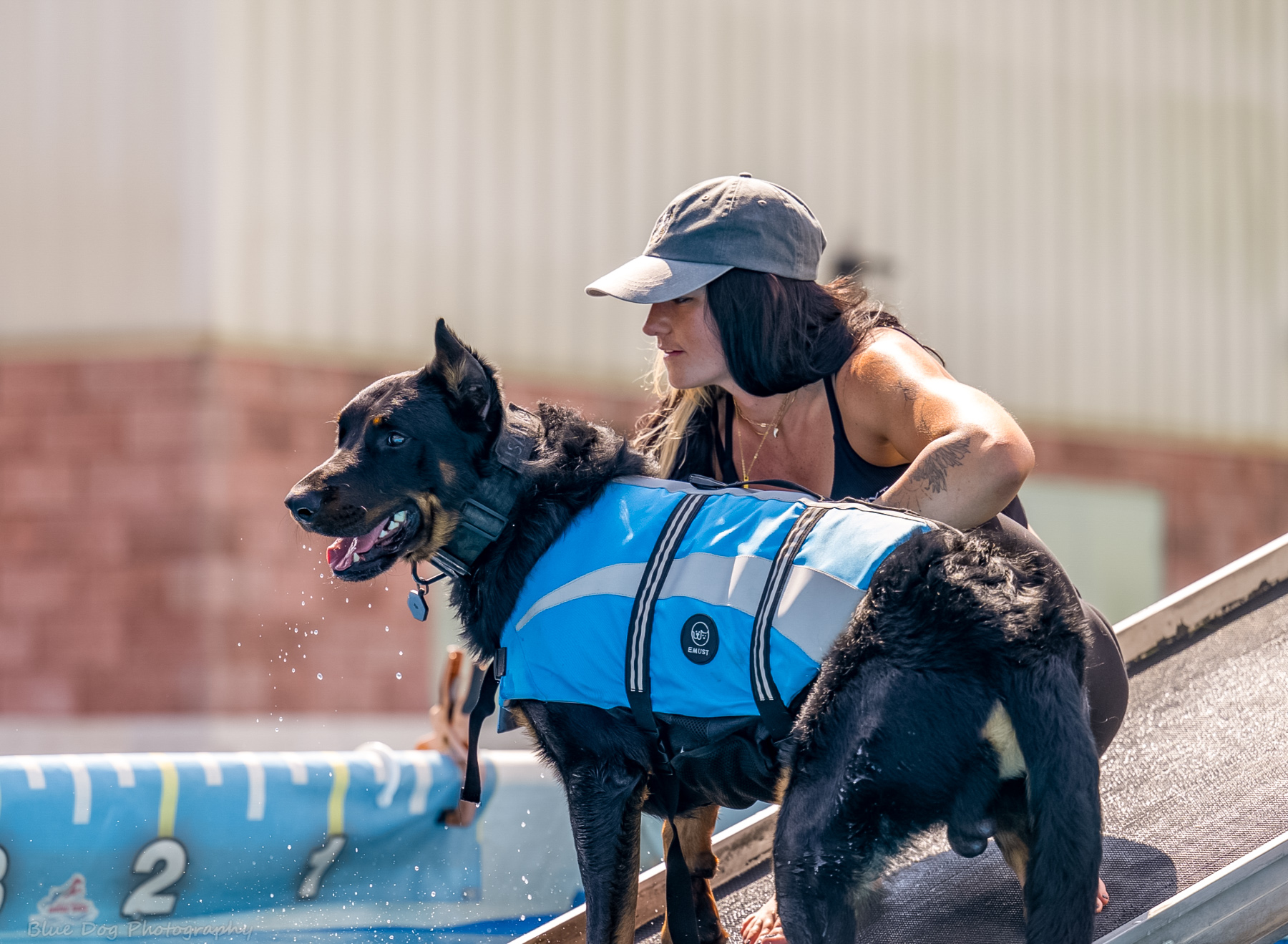 Gabrielle Franze Makes the Case for Dogs in First Responder Mental Health Support