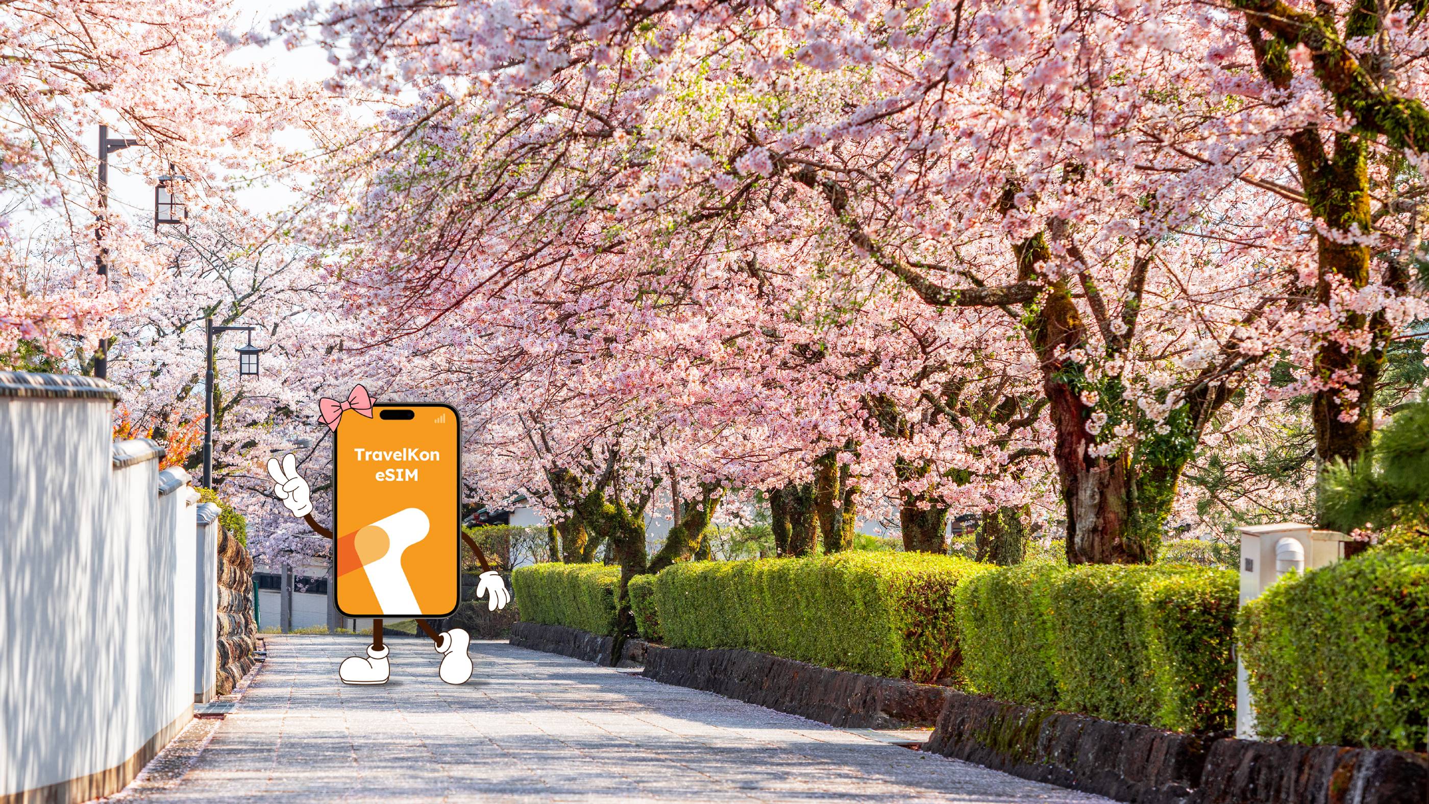 Chasing the 2026 Sakura: The Ultimate Guide to Connectivity and Culture in Japan