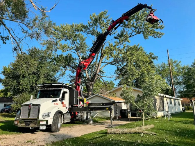 Valpo Agency is the Leader in Marketing for Local Tree Services