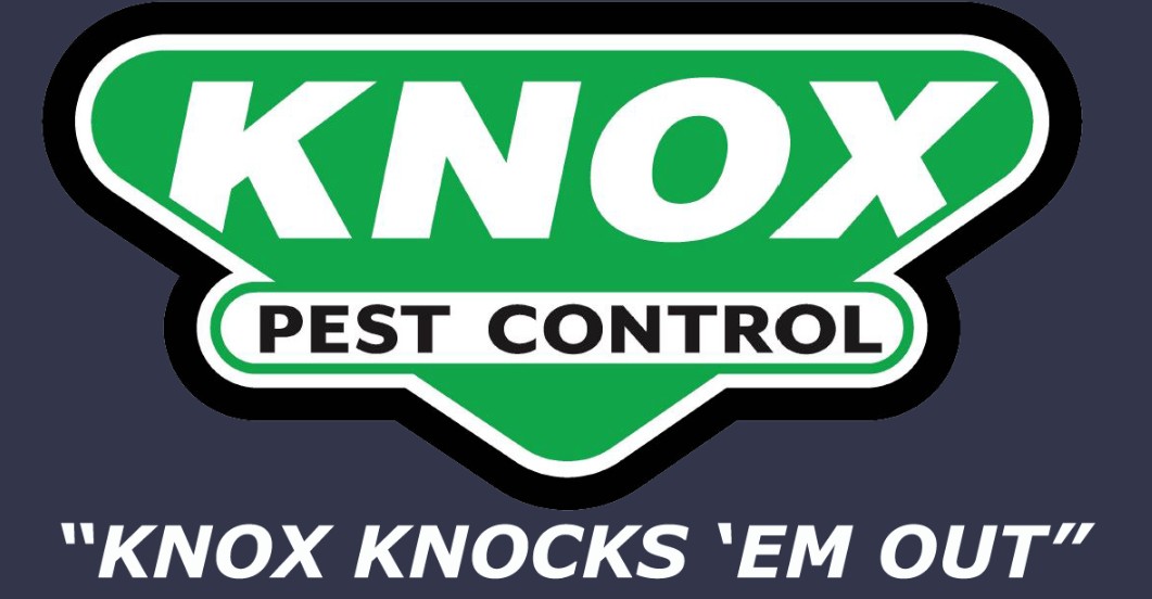 Justin Knox of Knox Pest Control Issues Public Alert on Termite Damage Risks
