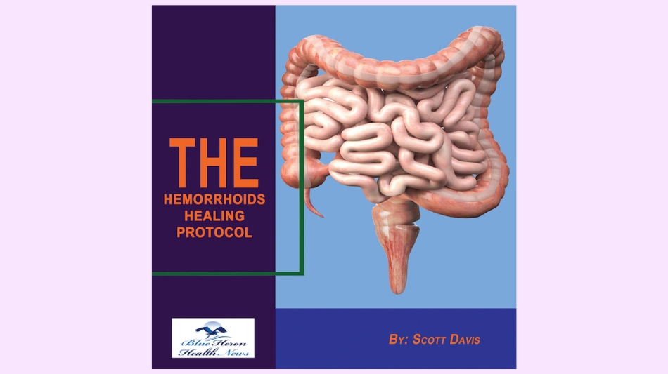 Hemorrhoids Healing Protocol book cover