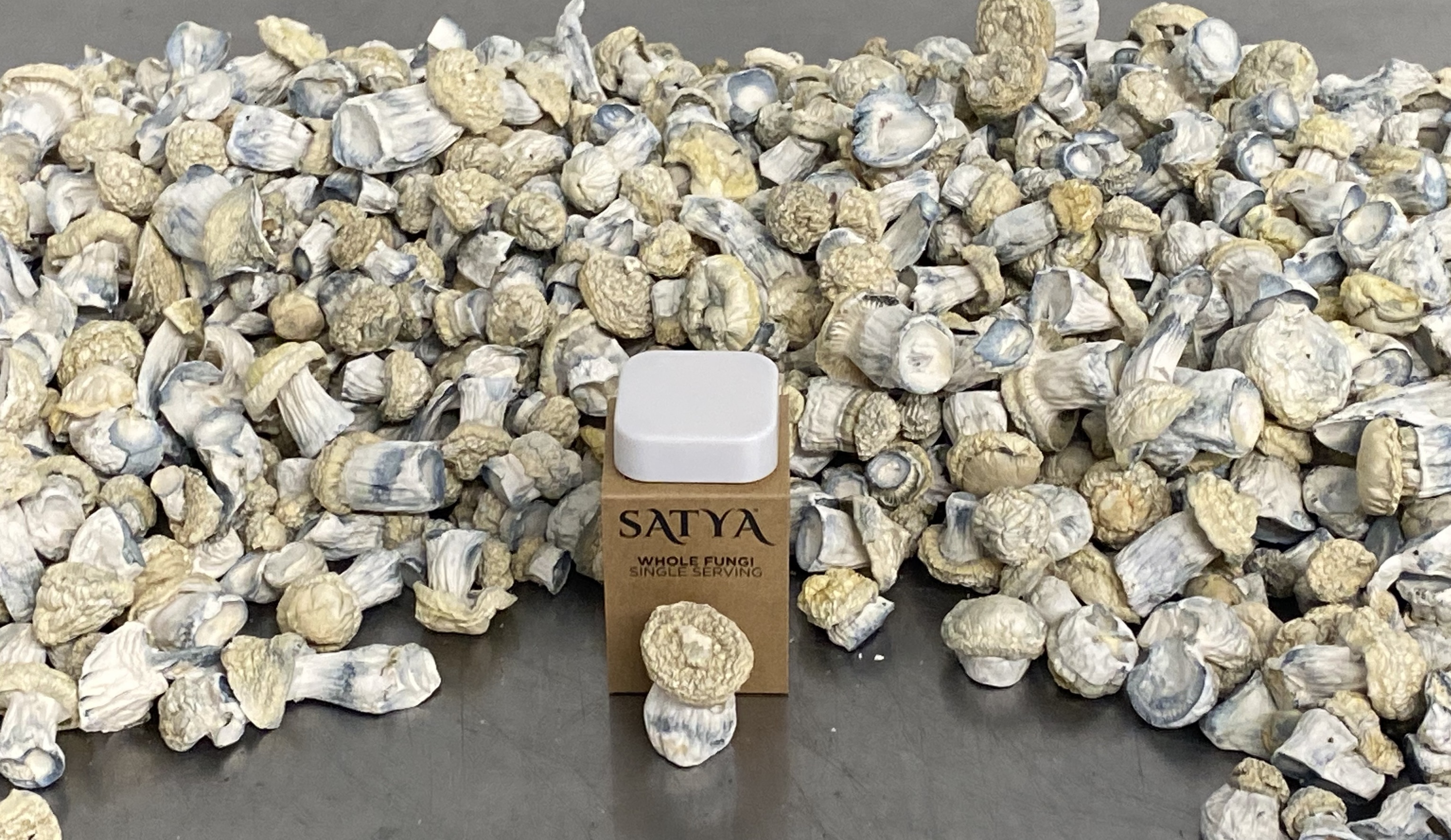 Satya Therapeutics Participates in Oregon Workgroup Examining Psilocybin Potency Standards as Industry Calls for Real-World Alignment
