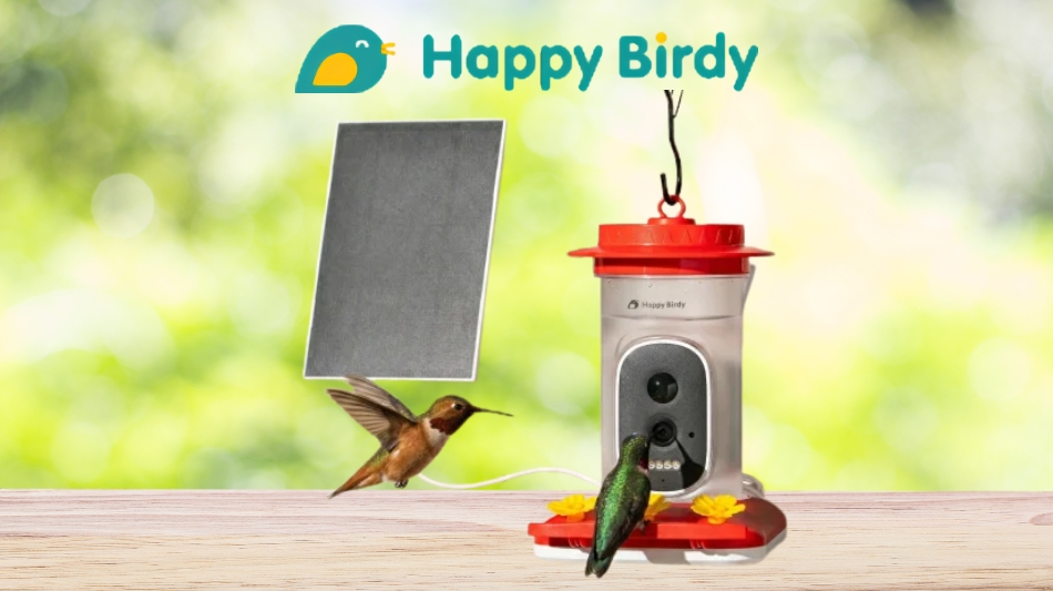 Happy Birdy Smart Hummingbird Feeder Reviewed: Don't Buy Happy Birdy Smart Bird Buddy Feeders Before Reading This First!