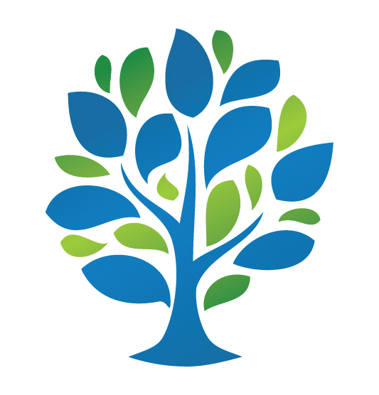 Plantations International Expands Aggressively with New 30,000 Tree Mango Plantation in Thailand