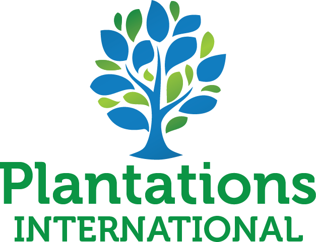 Plantations International Surpasses USD 450 Million in Thailand Revenue Valuations
