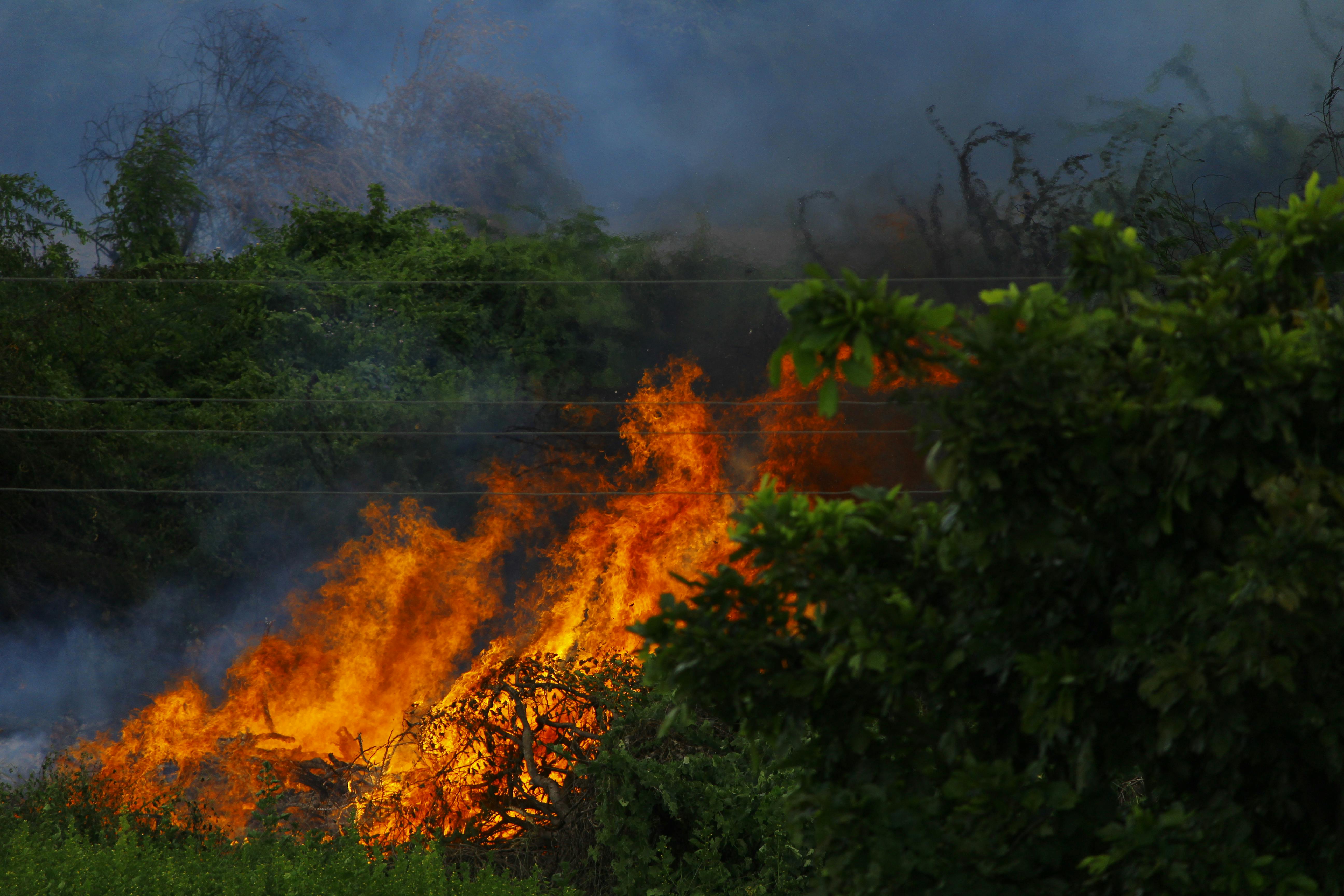 As 130 Active Florida Wildfires Push Smoke Across the State, Greenfox Air Quality Issues Indoor Air Quality Guidance for Palm Beach County Homeowners