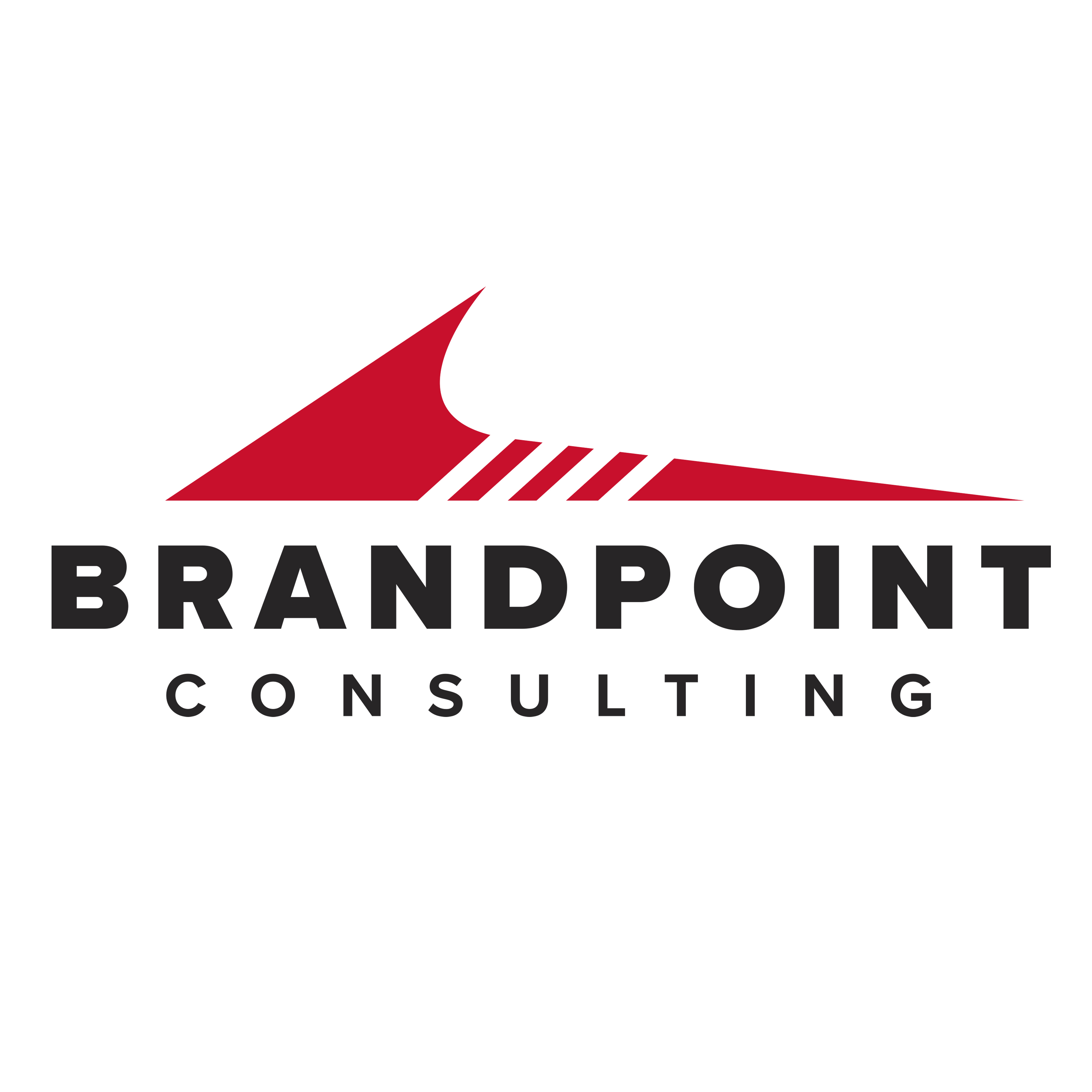 BrandPoint Launches BrandPoint Consulting