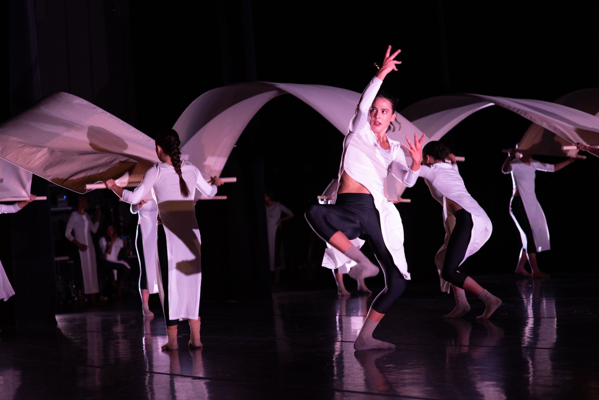 Zeitgeist Dance Theatre's International Summer Residency Puts Santa Fe on Global Dance Map