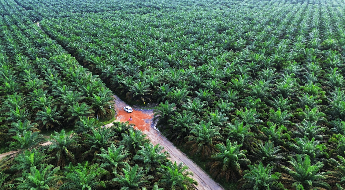 Arva Crosses $100M in Farmer Ecosystem Payments, Growing Global Footprint