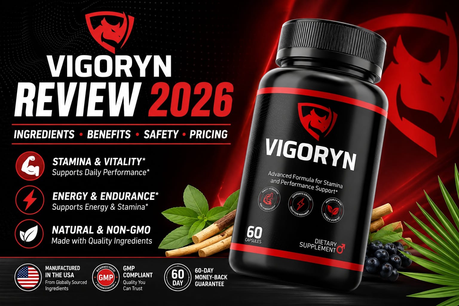 Vigoryn Review 2026: Ingredient Breakdown, Men's Wellness Support, Pricing, and Buyer Considerations Before Ordering