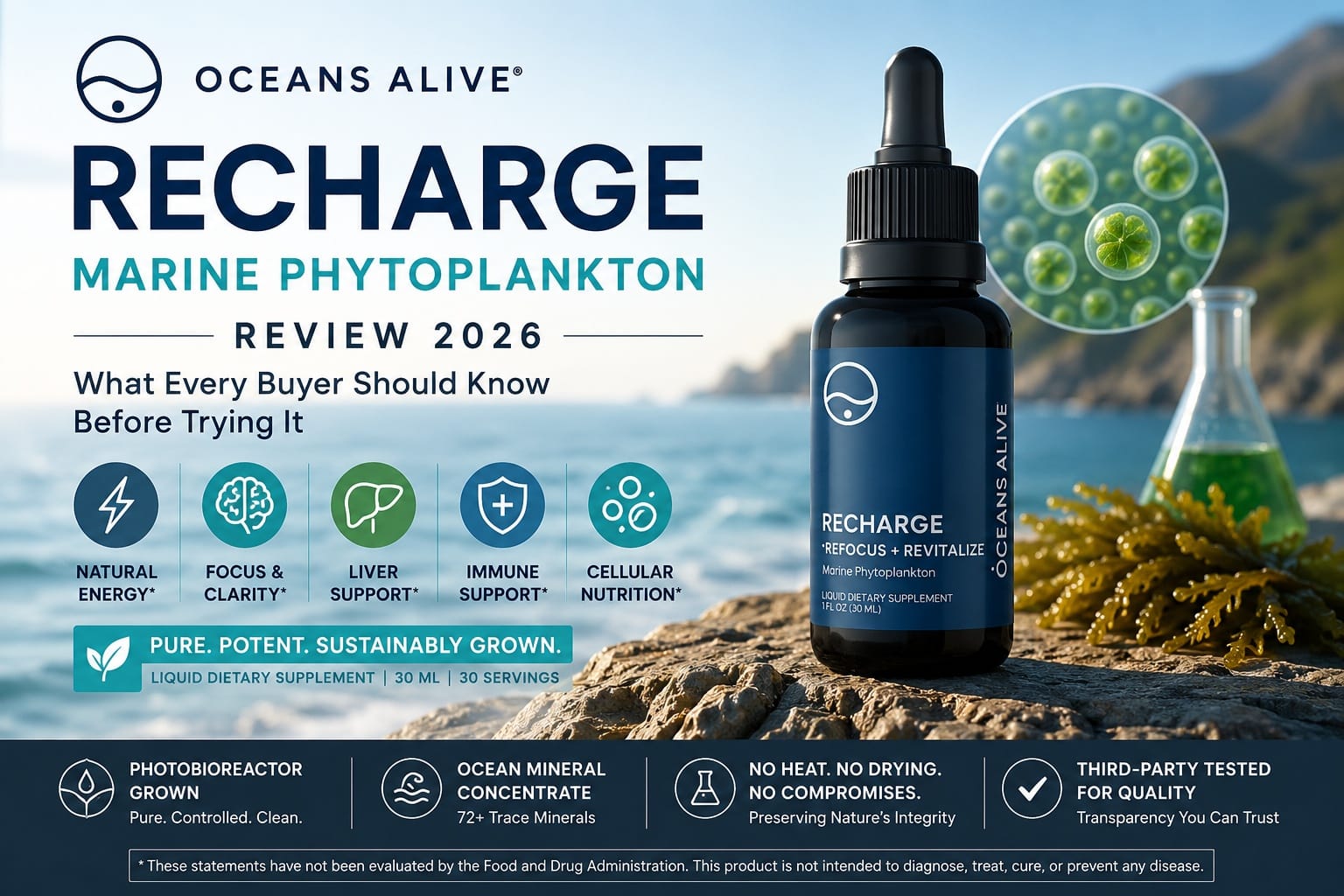 Activation Products Oceans Alive Recharge Review 2026: What Buyers Should Know Before Ordering