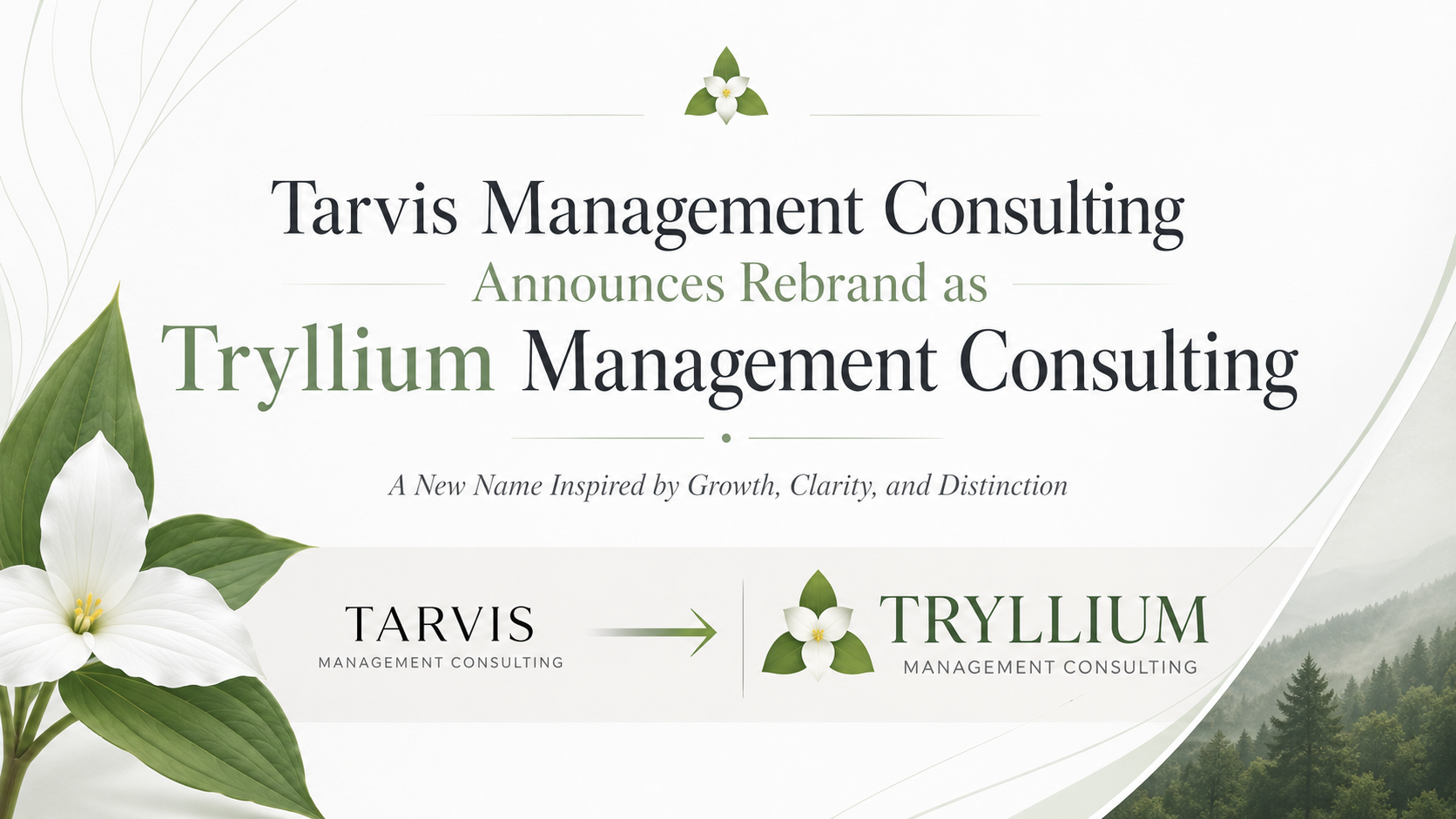 Tarvis Management Consulting Rebrands as Tryllium Management Consulting