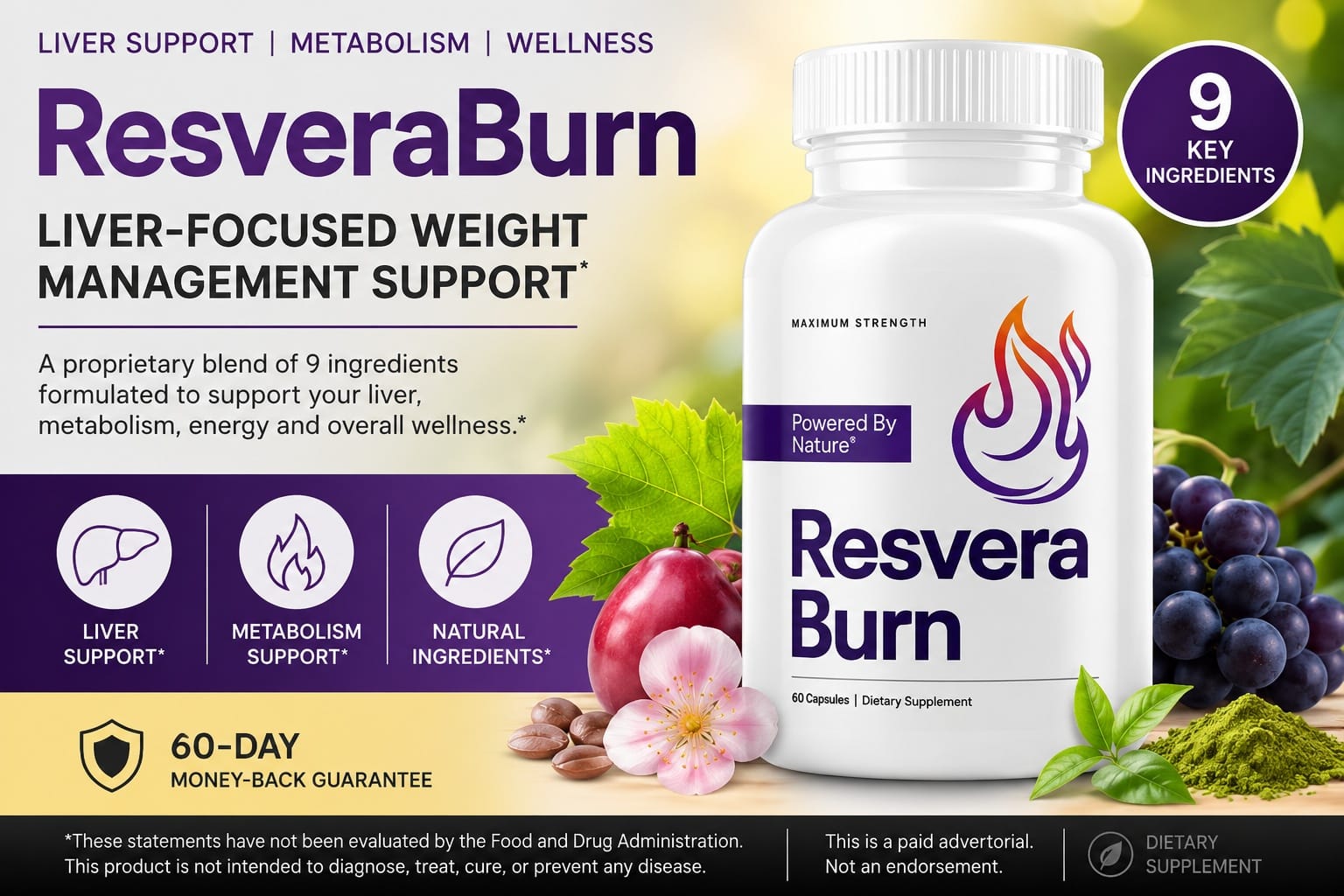 Resvera Burn Supplement Claims Reviewed: What the Science Says About Each Ingredients' Benefits for Weight Management