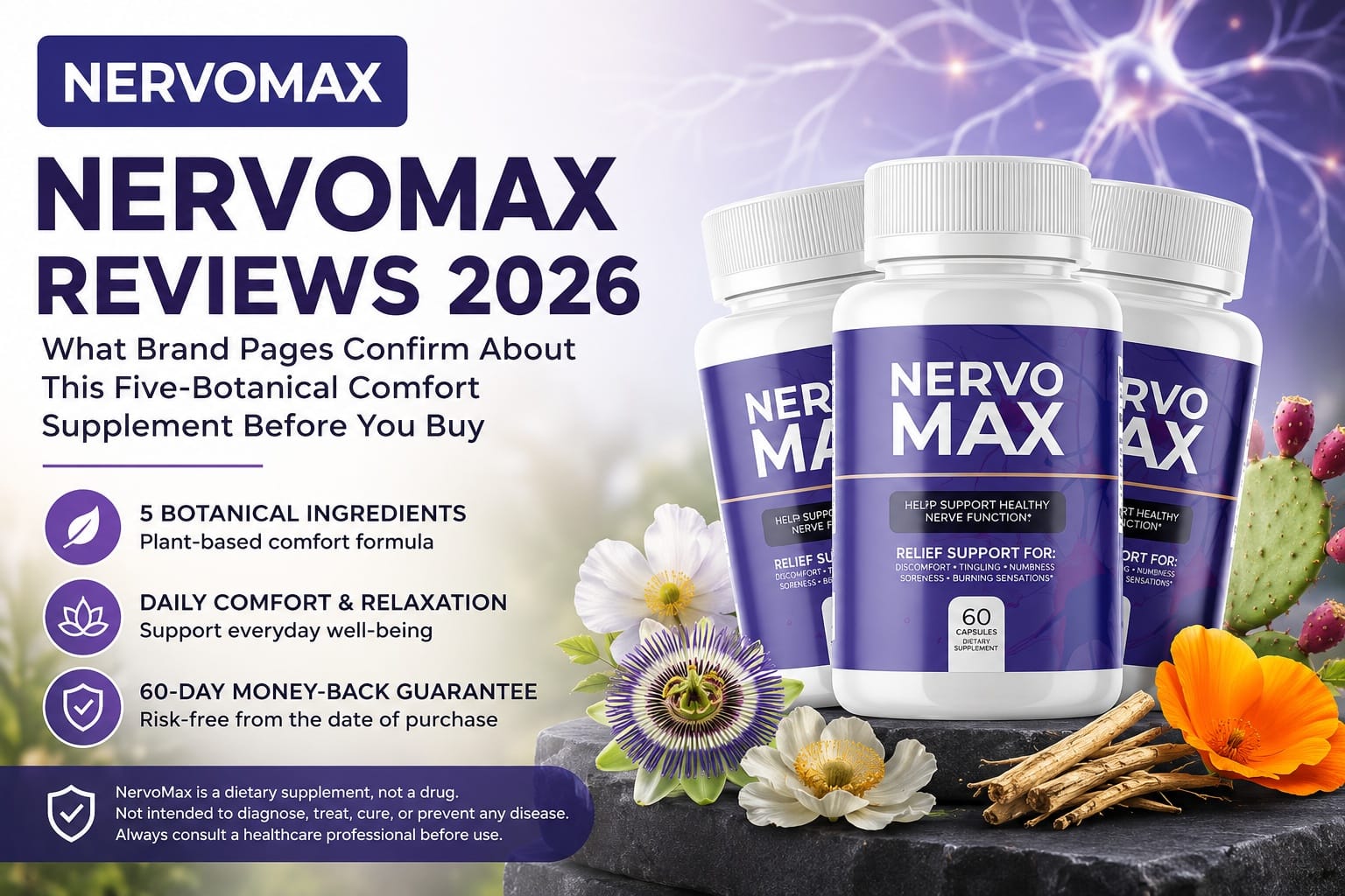 NervoMax Reviews 2026: What Buyers Should Know About Ingredients, Pricing, Guarantee Terms, and Dosage Transparency