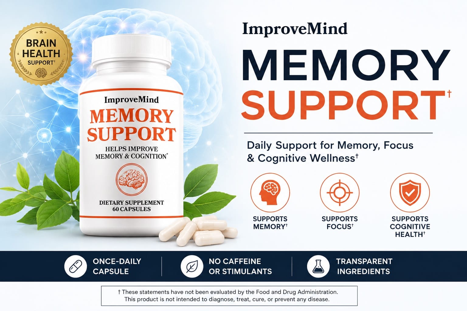 ImproveMind Memory Support Review - What do Improve Mind Supplement Users Say After Buying?